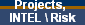 Projects,  
 INTEL \ Risk